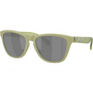 Oakley Frogskins Polarized