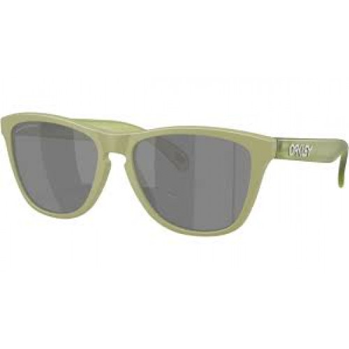 Oakley Frogskins Polarized Oakley Frogskins Polarized