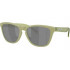 Oakley Frogskins Polarized