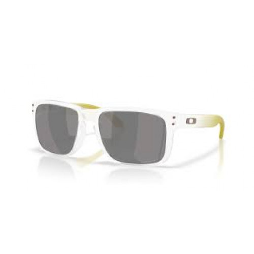 Oakley Holbrook Polarized