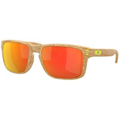 Oakley Holbrook Polarized