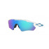 Oakley Radar EV Path 