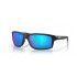 Oakley Gibston Polarized