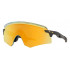 Oakley Encoder Polarized 
