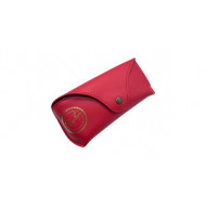 Ray Ban Case