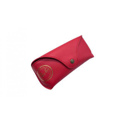 Ray Ban Case