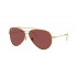 Ray Ban RB0101S Aviator Reverse 