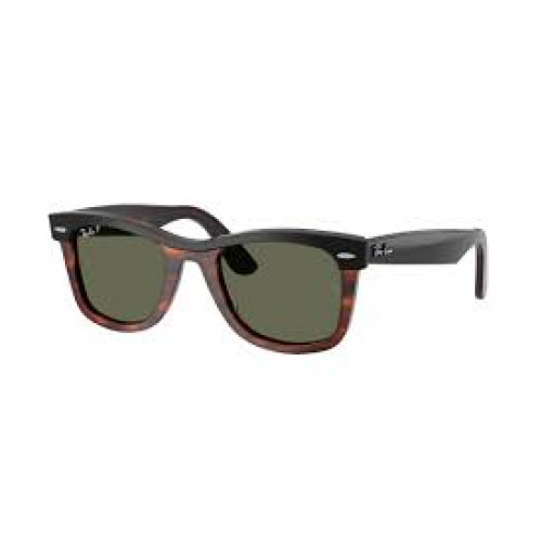 Ray Ban RB2240 Wayfarer Polarized Ray Ban RB2240 Wayfarer Polarized
