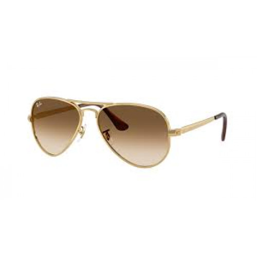 Ray Ban RB3925 Aviator Max