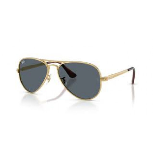 Ray Ban RB3925 Aviator Max