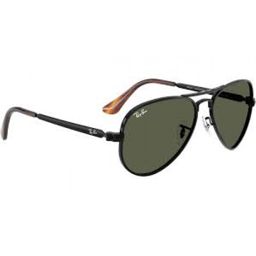 Ray Ban RB3925 Aviator Max