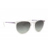 Ray Ban RB4171 Erika
