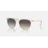 Ray Ban RB4171 Erika
