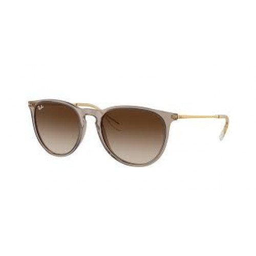 Ray Ban RB4171 Erika