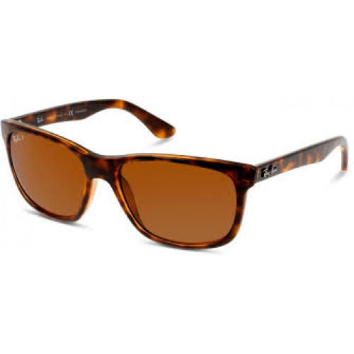 Ray Ban RB4181 Polarized