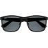 Ray Ban RB4264 Polarized