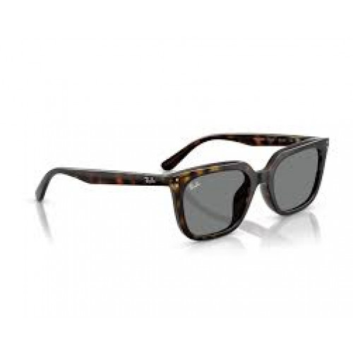 Ray Ban RB4439D Ray Ban RB4439D