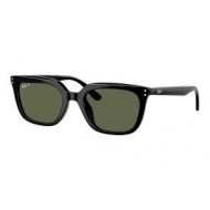 Ray Ban RB4439D