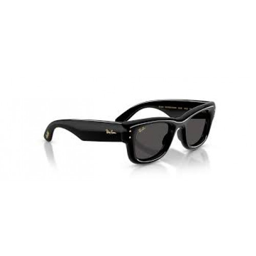 Ray Ban Wayfarer Puffer