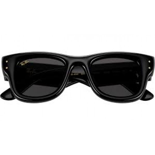 Ray Ban Wayfarer Puffer