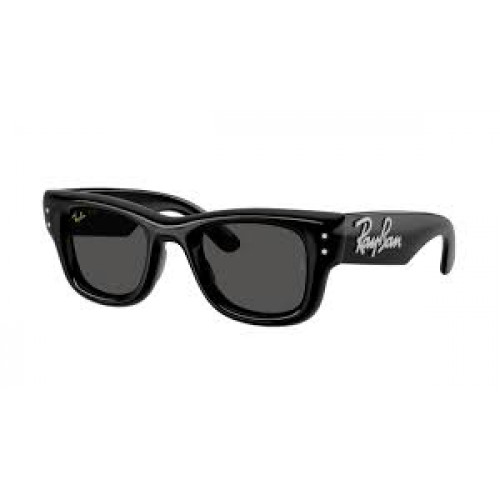 Ray Ban RB4940B Wayfarer Puffer