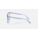 Ray Ban RB4378V Ray Ban RB4378V