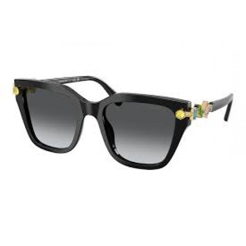 Swarovski SK6041 Polarized