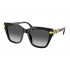 Swarovski SK6041 Polarized