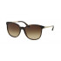 Bvlgari BV8160B
