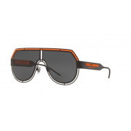 Dolce & Gabbana DG2231