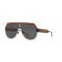Dolce & Gabbana DG2231