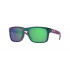 Oakley Holbrook 