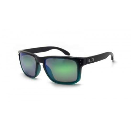 Oakley Holbrook Prizm