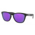 Oakley Frogskins 