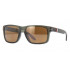 Oakley Holbrook