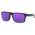 Oakley Holbrook