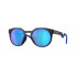 Oakley HSTN Polarized