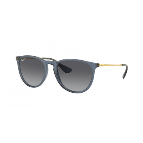 Ray Ban RB4171 Erika Polarized