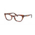 Ray Ban Kids RY9099V Miss Burbank
