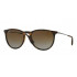 Ray Ban RB4171 Erika Polarized