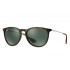 Ray Ban RB4171 Erika