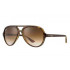 Ray Ban RB4125 Cats 5000