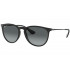 Ray Ban RB4171 Erika Polarized