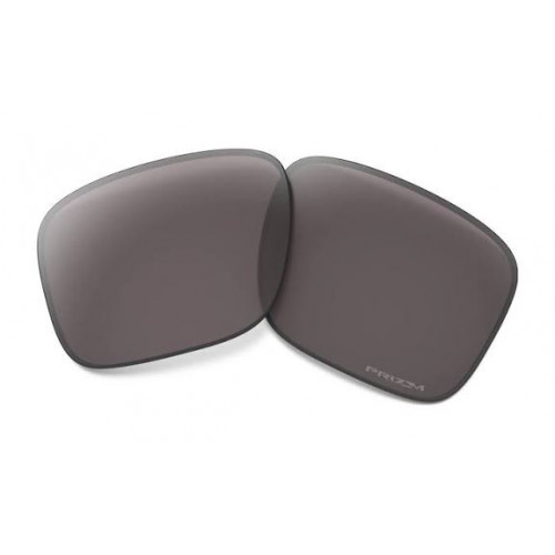Oakley Holbrook Prizm Grey Polarized