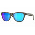Oakley Junior Frogskins XXS
