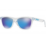 Oakley Frogskins Prizm