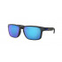 Oakley Holbrook Prizm Polarized