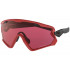 Oakley Wind Jacket 2.0 Prizm Snow