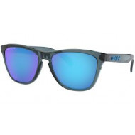 Oakley Frogskins Polarized