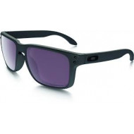 Oakley Holbrook Prizm Daily Polarized